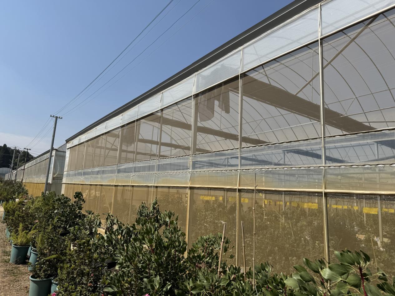 97CCB4D162066C2B4BD2F448FF2BB82E