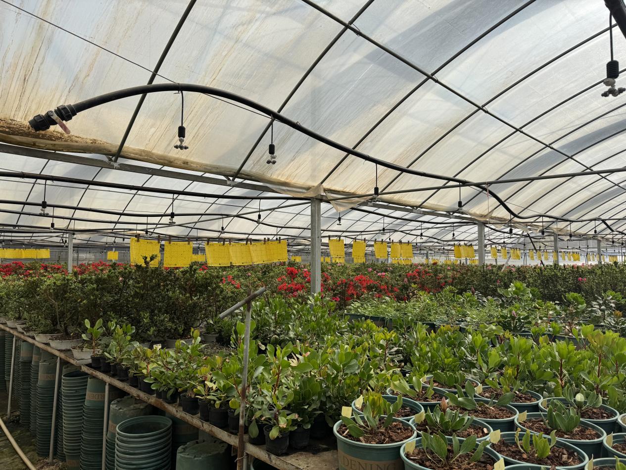 FCA2986D25E1774DD2CFA418AA6A6457