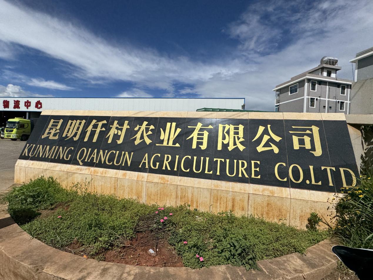 微信图片_20250820225625